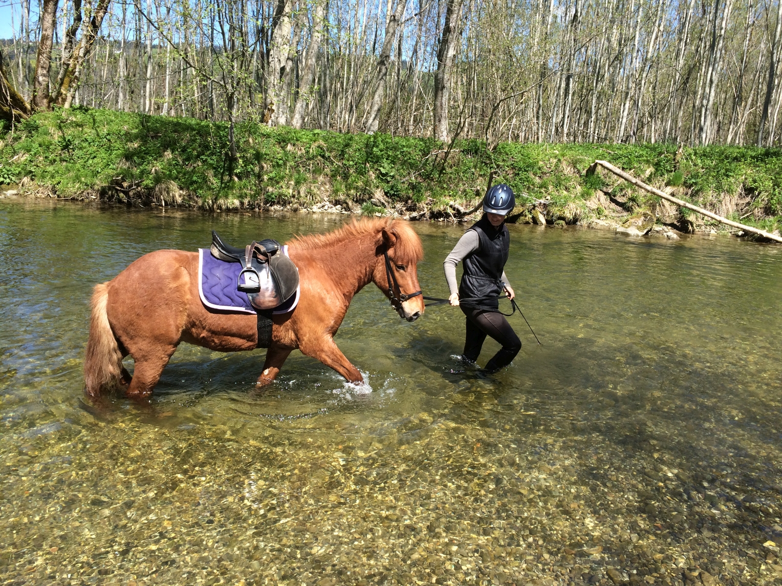 reiten landhaus eggel004