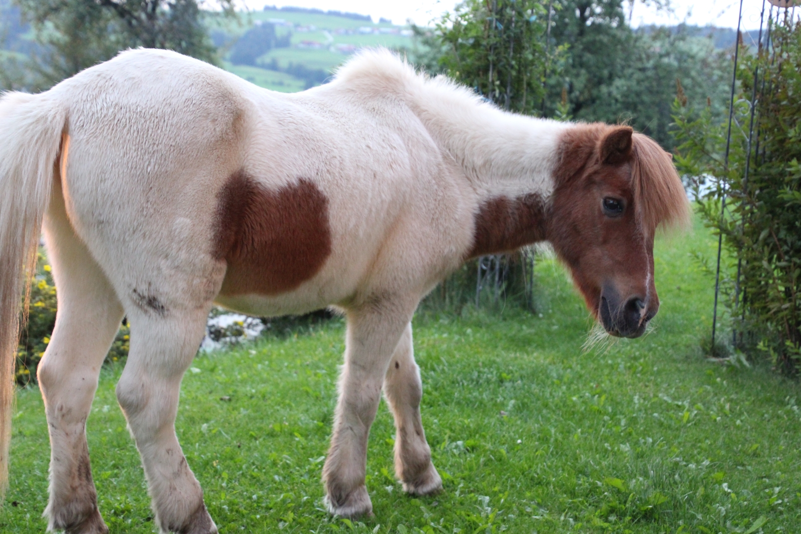 reiten landhaus eggel008