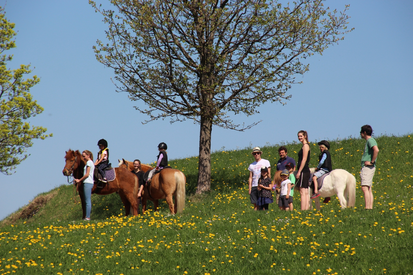 reiten landhaus eggel011